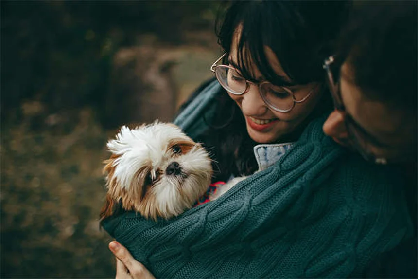 Problemi alla spalla del cane: sintomi e cure efficaci